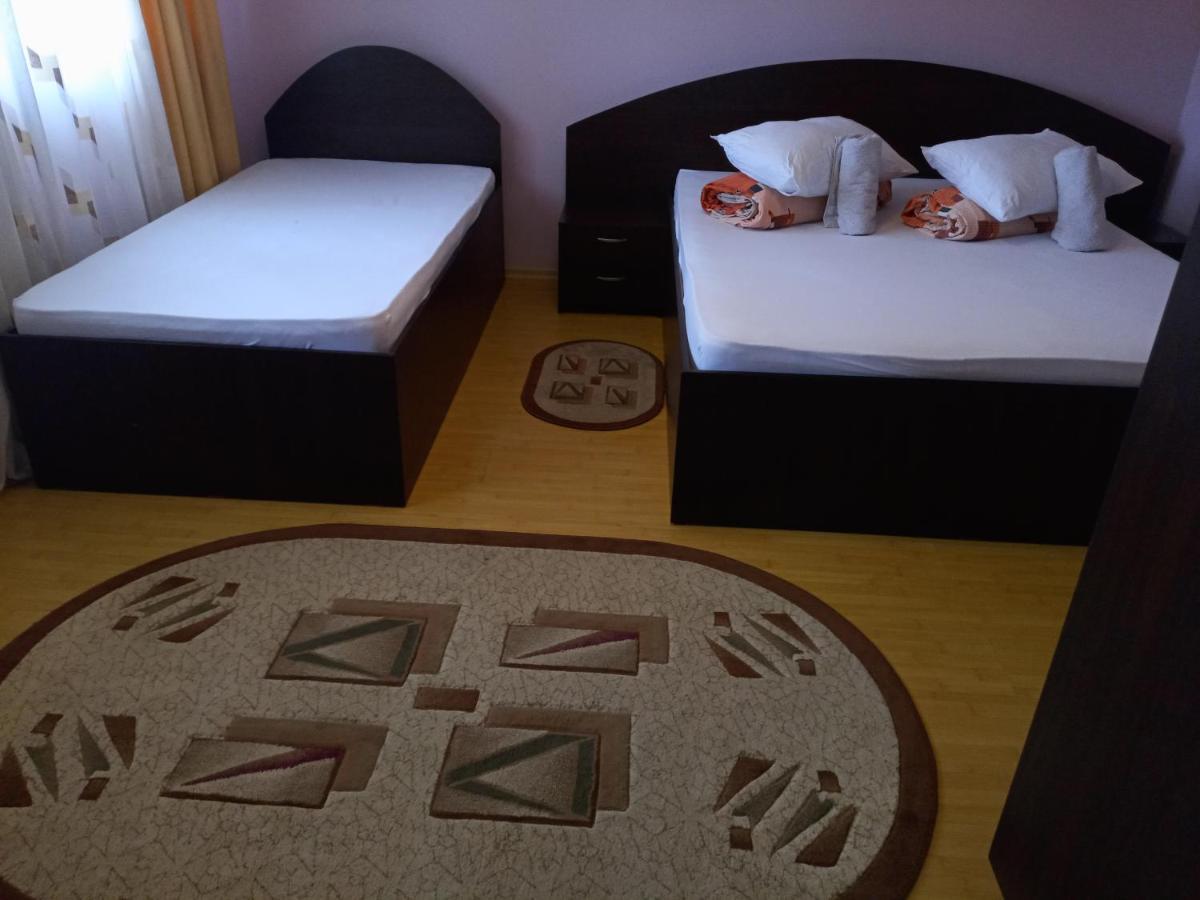 Natural Balkanic SelfCheckin Self-catering Targoviste Bagian luar foto